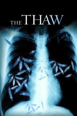 The Thaw's poster