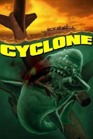 Cyclone's poster