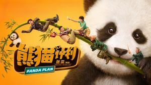 Panda Plan's poster