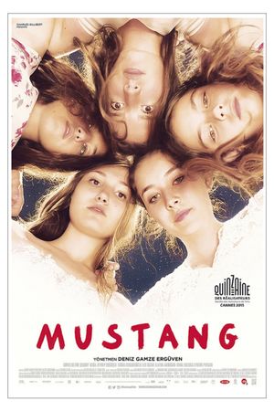 Mustang's poster