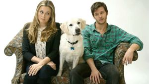 Who Gets the Dog?'s poster