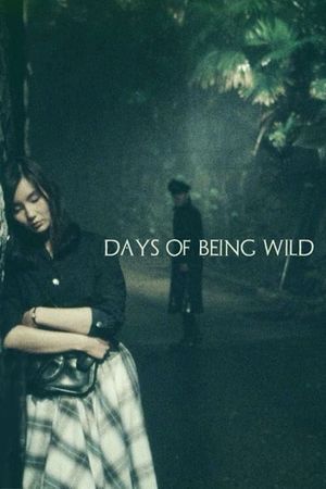 Days of Being Wild's poster