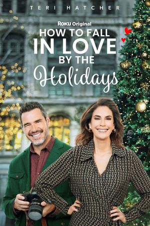 How to Fall in Love by Christmas's poster