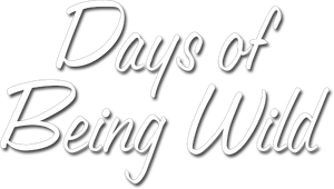 Days of Being Wild's poster