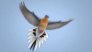 From Billions to None: The Passenger Pigeon's Flight to Extinction's poster