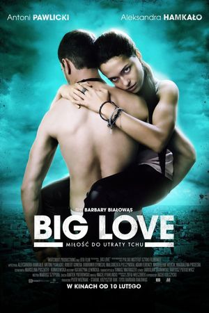 Big Love's poster