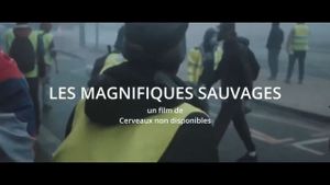 Les Magnifiques sauvages's poster