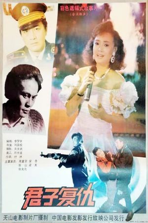 君子复仇's poster