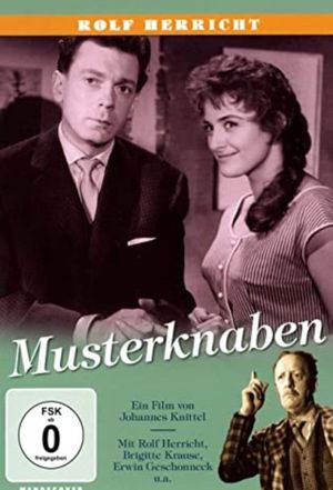 Musterknaben's poster