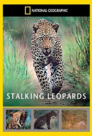 Stalking Leopards's poster