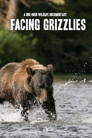 Facing Grizzlies's poster