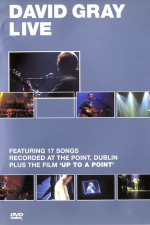 David Gray: Live at the Point's poster