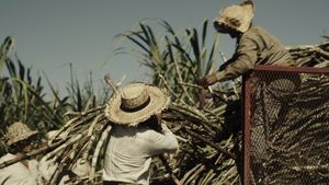 Erase una vez en el Caribe's poster