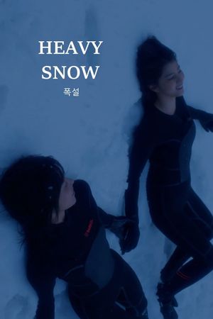 Heavy Snow's poster image