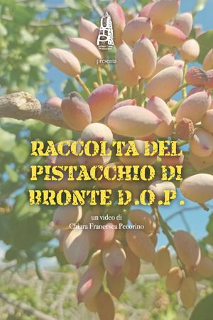 Raccolta del pistacchio di Bronte D.O.P.'s poster image