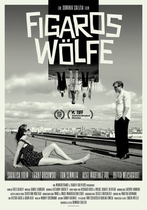 Figaros Wolves's poster