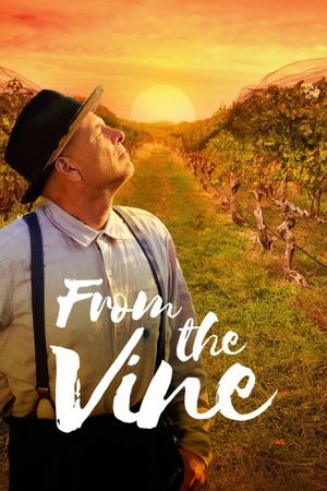 From the Vine's poster image