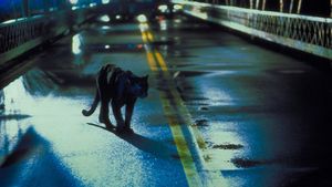 Cat People's poster