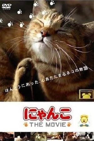 Cat Story The Movie 1's poster
