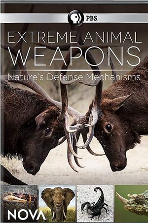 Extreme Animal Weapons's poster