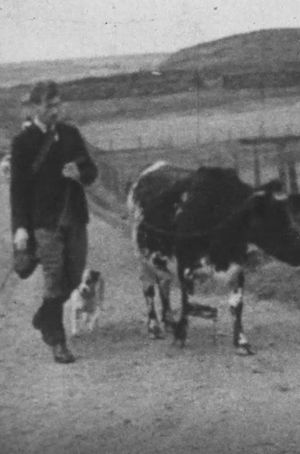 A Cattle Sale's poster