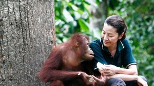 Among the Great Apes with Michelle Yeoh's poster