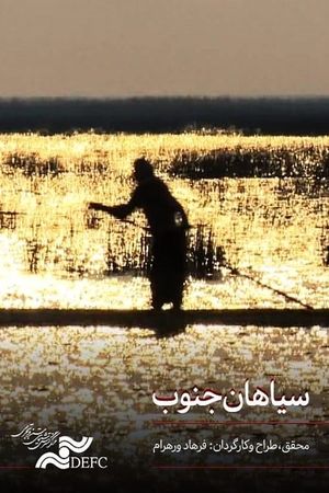Blacks of Southern Iran's poster