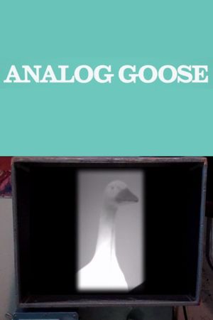 Analog Goose's poster