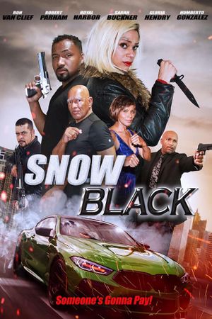 Snow Black's poster