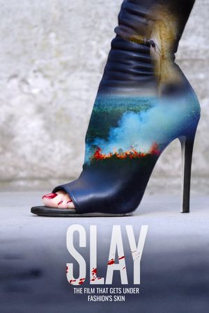 Slay's poster