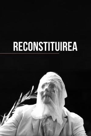 Reconstruction's poster