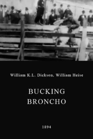 A Bucking Broncho's poster