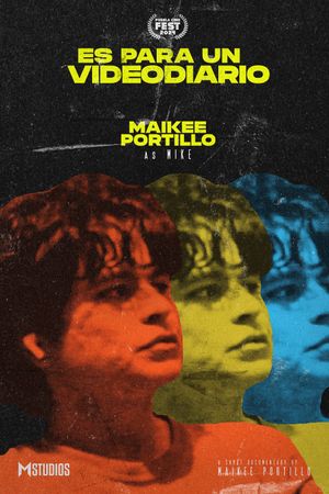 Es Para Un Videodiario's poster