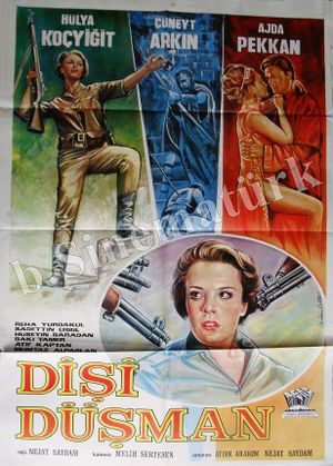 Dişi Düşman's poster