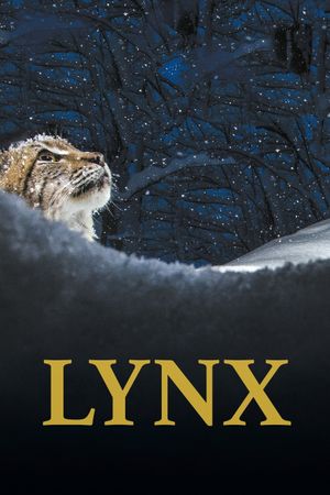 Lynx's poster