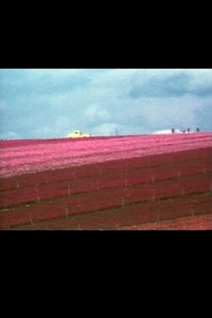 Flower Fields's poster