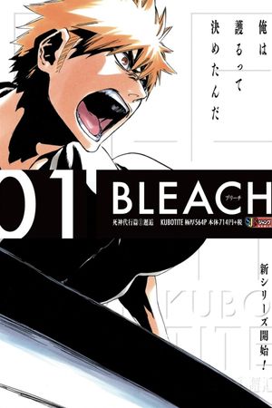 Bleach: Memories of Nobody's poster