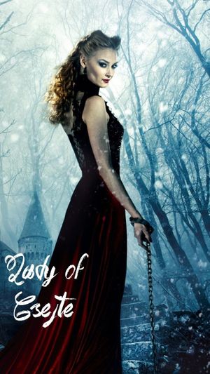 Lady of Csejte's poster