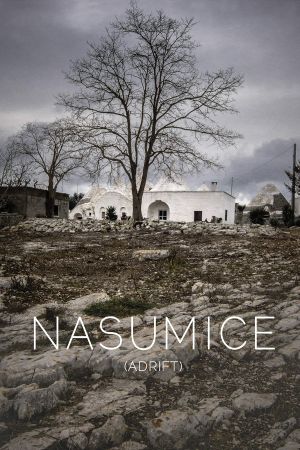 Nasumice's poster