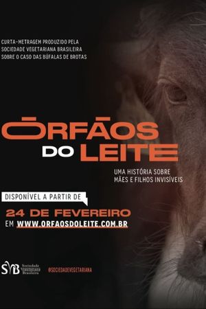 Órfãos do Leite: Uma história sobre mães e filhos invisíveis's poster