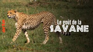 Le Goût de la savane - Herbivores et Carnivores: Festins croisés's poster