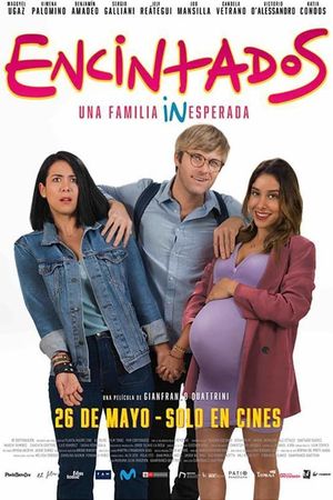 Encintados's poster