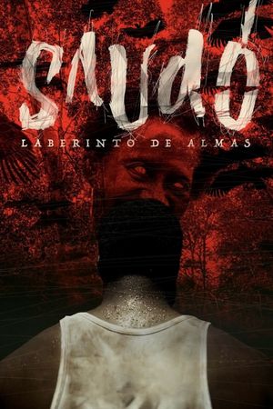Saudó, laberinto de almas's poster
