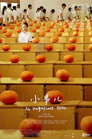 An Insignificant Affair's poster