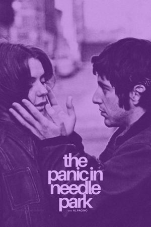 The Panic in Needle Park's poster