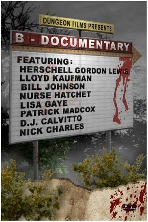B-Documentary's poster