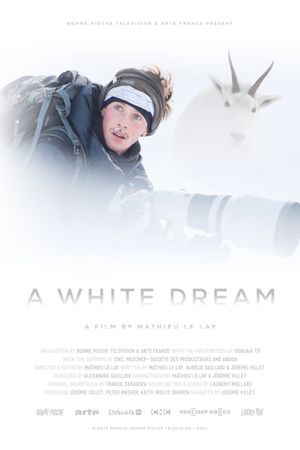 A White Dream's poster