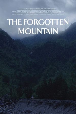 The Forgotten Mountain's poster