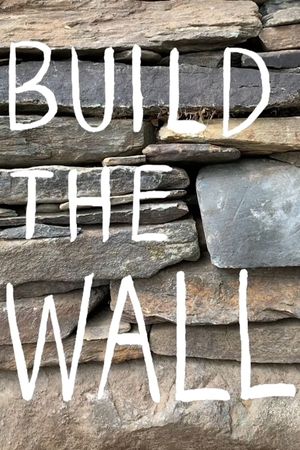 Build the Wall's poster image