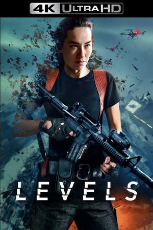 Levels's poster